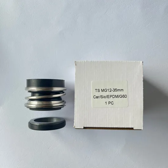 Reliable Bergmann MG12 Pump Mechanical Seals for All King of Pump